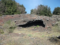 iammaro Lupo10042012 036